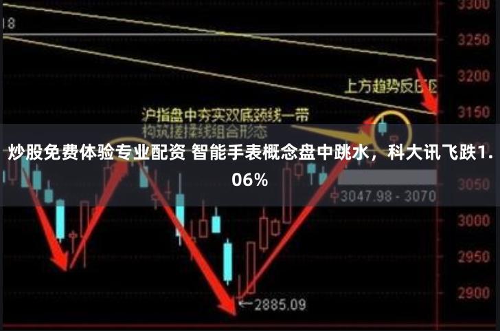 炒股免费体验专业配资 智能手表概念盘中跳水，科大讯飞跌1.06%