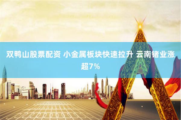 双鸭山股票配资 小金属板块快速拉升 云南锗业涨超7%