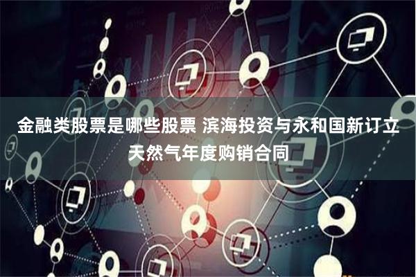 金融类股票是哪些股票 滨海投资与永和国新订立天然气年度购销合同