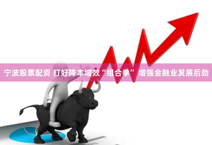 宁波股票配资 打好降本增效“组合拳” 增强金融业发展后劲