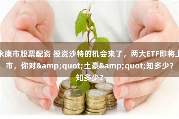 永康市股票配资 投资沙特的机会来了，两大ETF即将上市，你对&quot;土豪&quot;知多少？