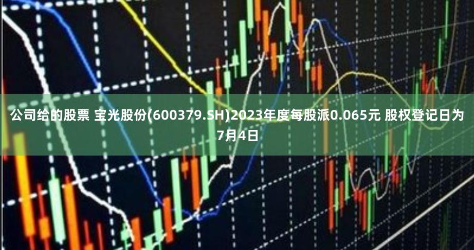 公司给的股票 宝光股份(600379.SH)2023年度每股派0.065元 股权登记日为7月4日