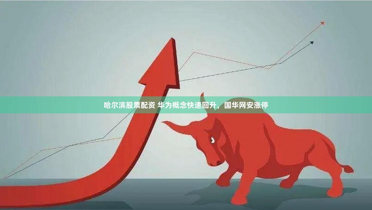 哈尔滨股票配资 华为概念快速回升，国华网安涨停