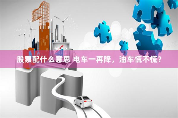 股票配什么意思 电车一再降，油车慌不慌？