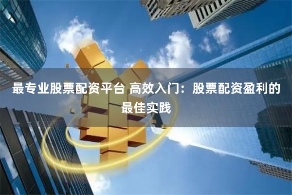 最专业股票配资平台 高效入门：股票配资盈利的最佳实践